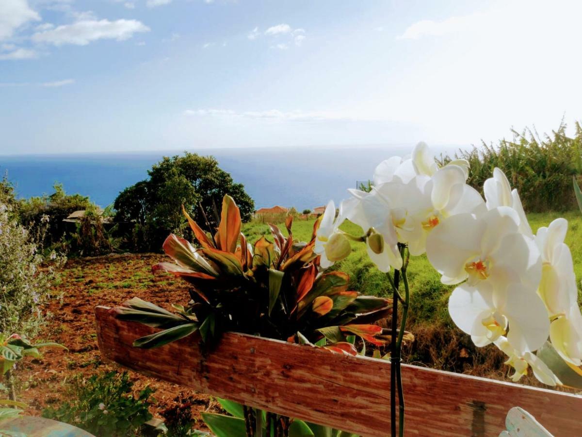 Casas Serenas Estreito Da Calheta Buitenkant foto